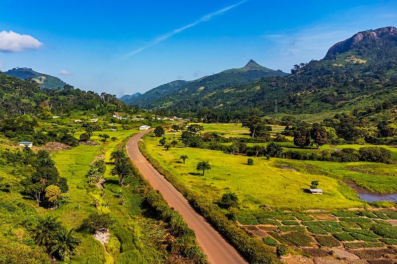Côte d'Ivoire: a laterite track and dense vegetation